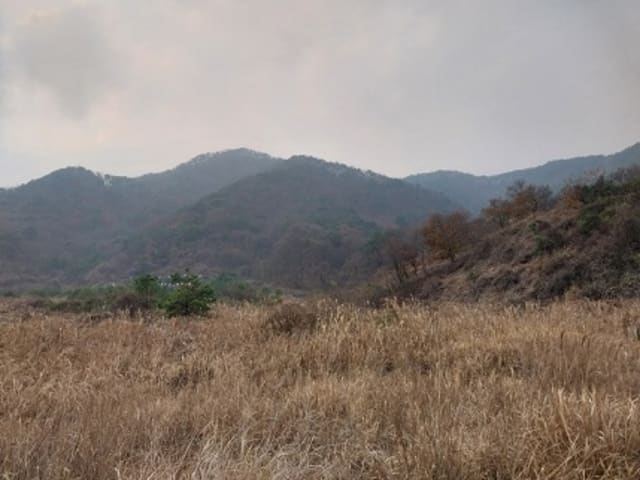 B000284202401300013321.jpg