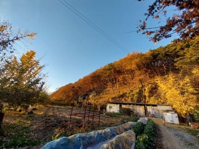 B000284202401300013491.jpg