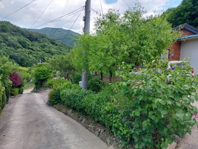 B000284202401300201662.jpg