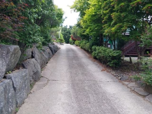 B000284202401300201663.jpg