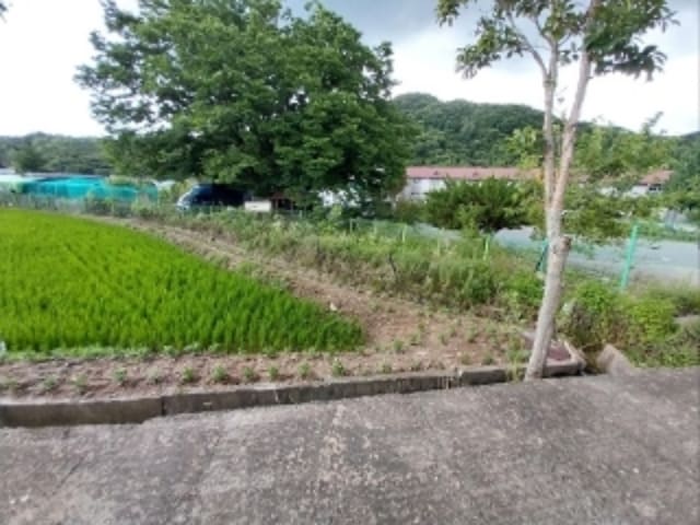 B000284202401300211142.jpg