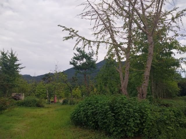 B000284202401300215724.jpg