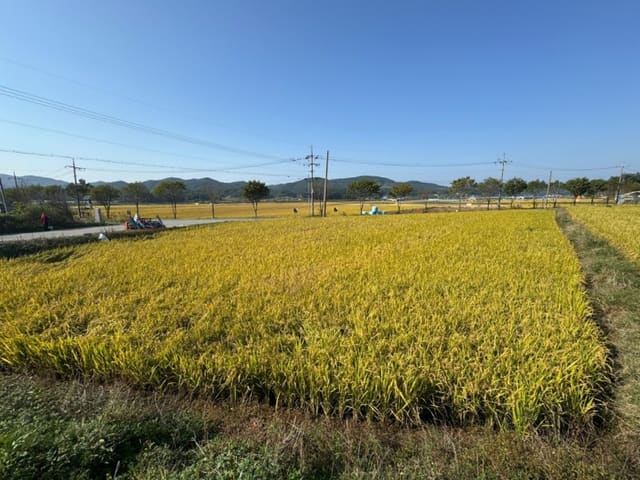 B000284202401300219928.jpg