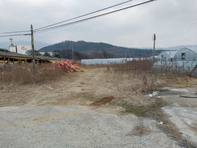 B000284202401300222923.jpg