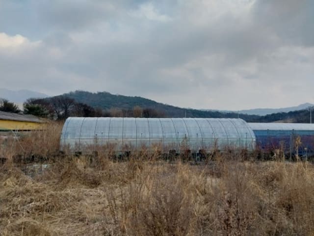 B000284202401300222924.jpg