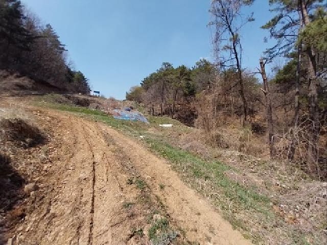 B000284202501300000304.jpg