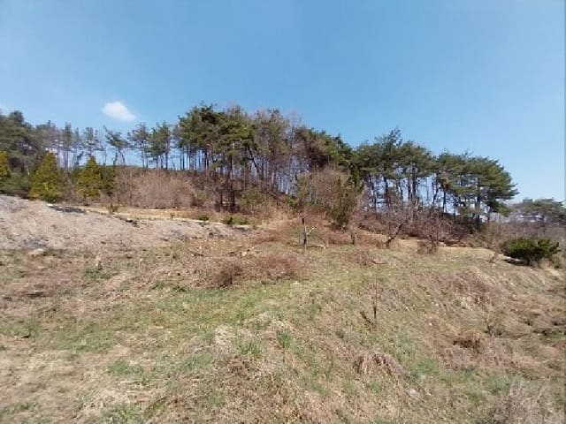 B000284202501300000302.jpg