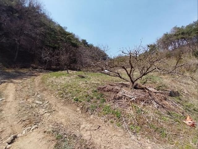 B000284202501300000301.jpg