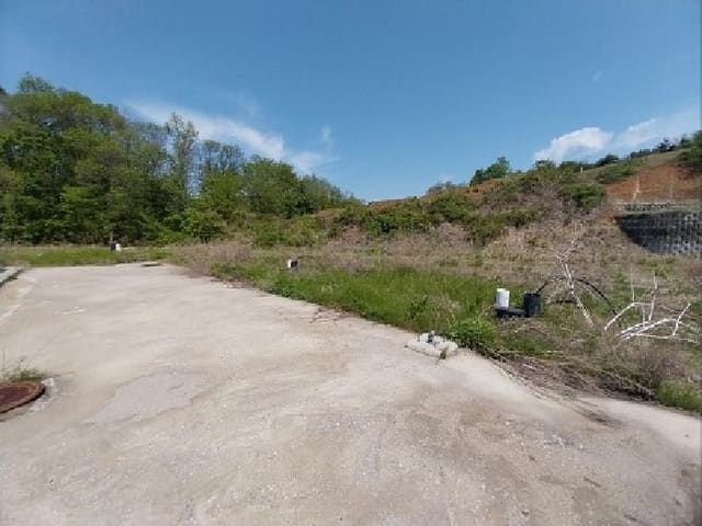 B000284202501300000412.jpg