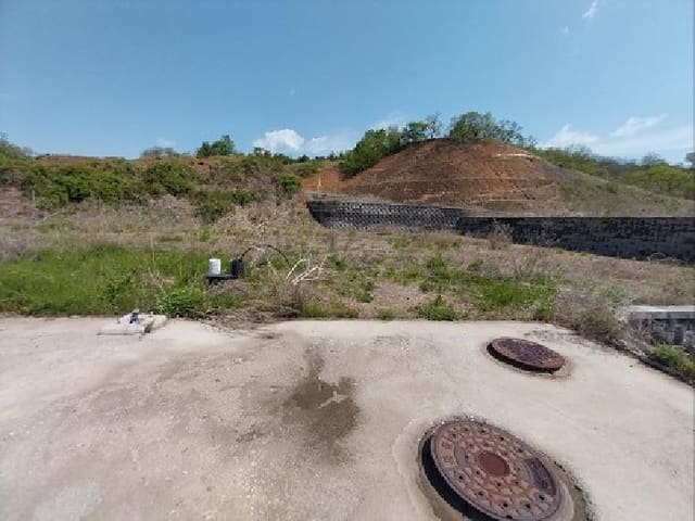 B000284202501300000411.jpg