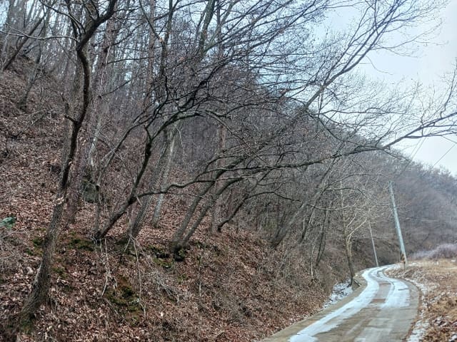 B000284202501300000464.jpg