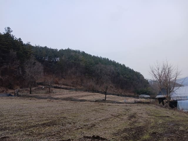 B000284202501300000463.jpg