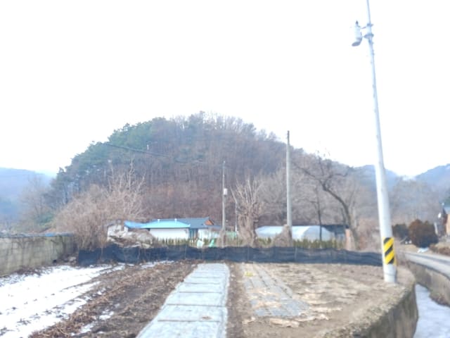 B000284202501300000462.jpg
