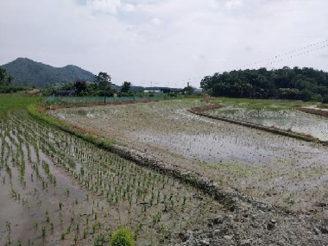B0002842025013000005626.jpg