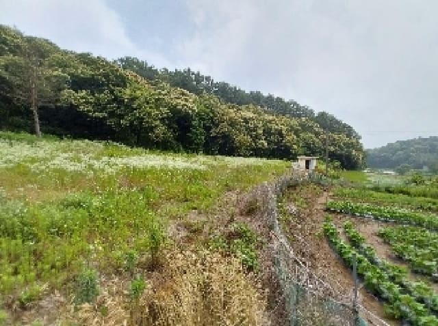 B000284202501300000611.jpg