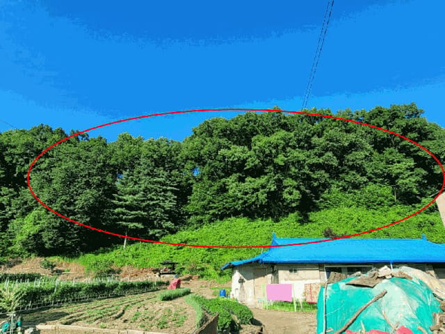 B000284202501300000684.jpg