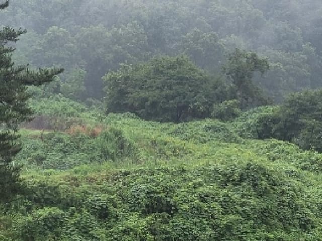 B000284202501300000711.jpg