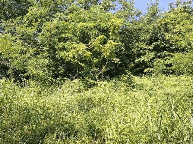 B000284202501300000723.jpg