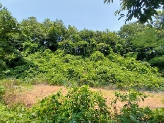 B000284202501300000721.jpg