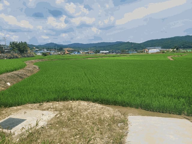 B000284202501300000754.jpg