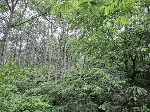 B000284202501300000793.jpg