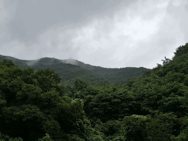 B000284202501300000794.jpg