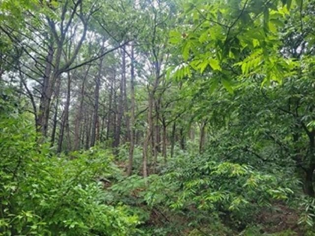 B000284202501300000791.jpg