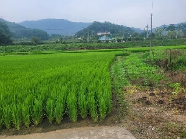 B000284202501300000871.jpg