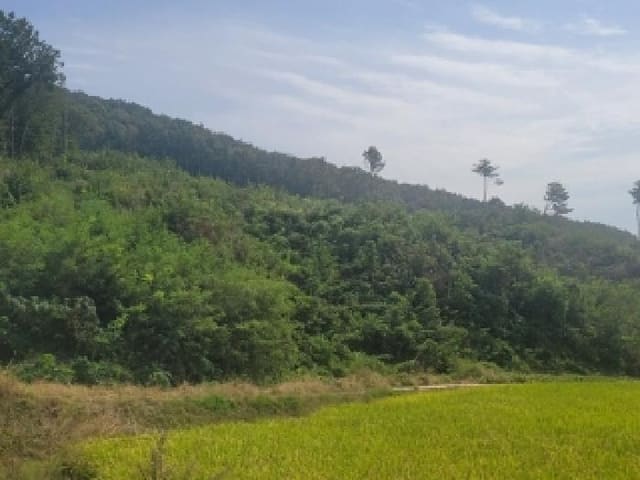 B000284202501300001104.jpg
