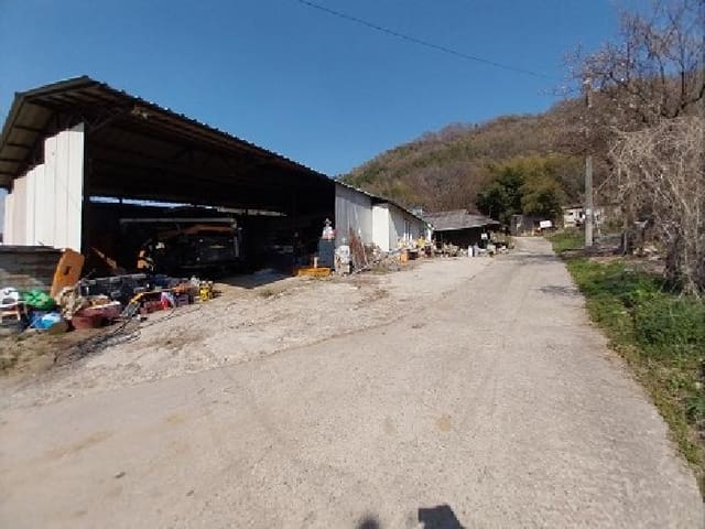 B000284202501300202064.jpg