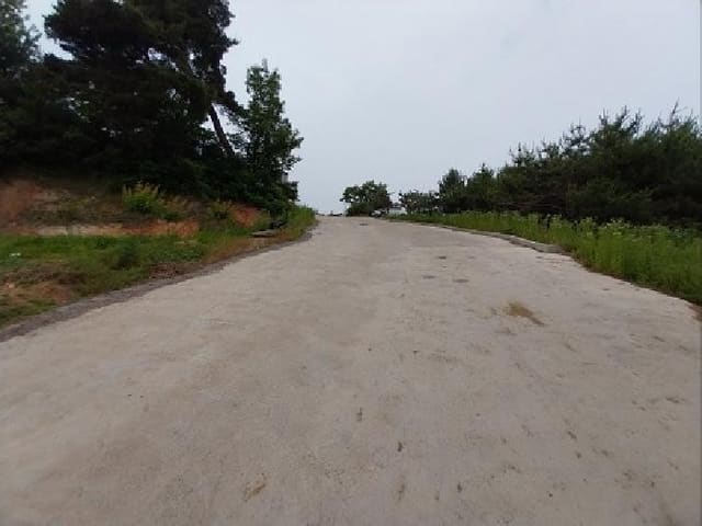B000284202501300202503.jpg