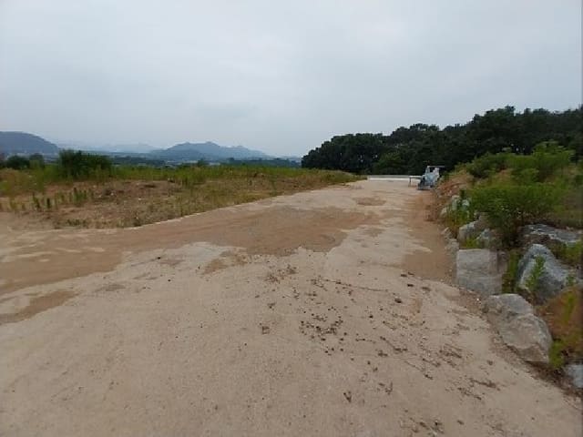 B000284202501300202501.jpg