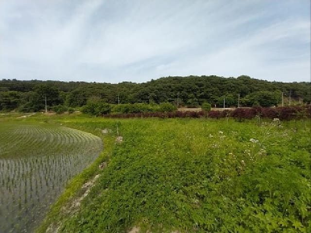 B000284202501300202672.jpg