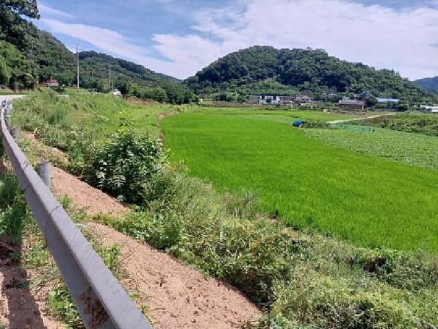 B000284202501300202674.jpg