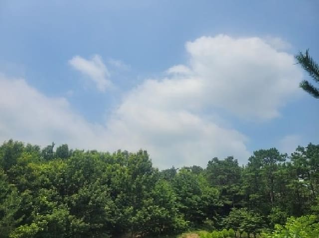 B000284202501300202751.jpg