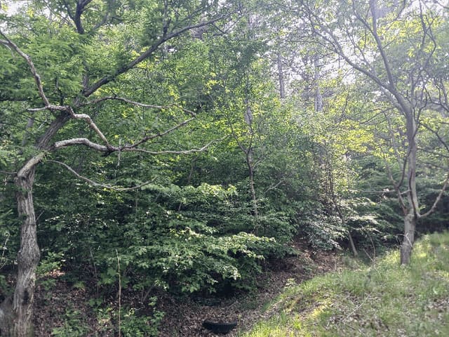 B000284202501300202753.jpg
