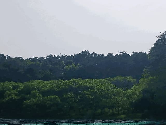 B000284202501300202754.jpg