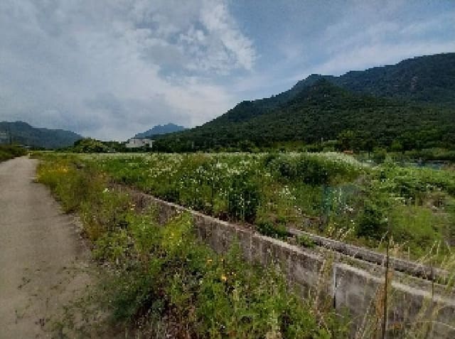 B000284202501300202883.jpg