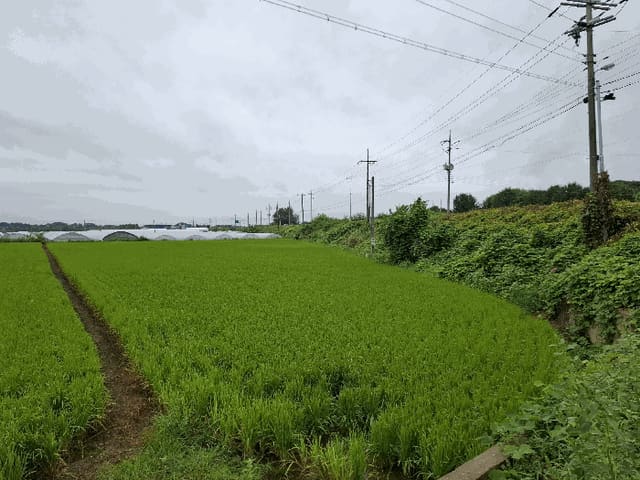 B000284202501300203224.jpg