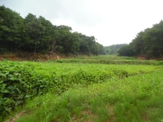 B000285202201300026172.jpg