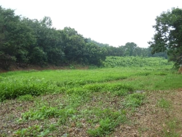 B000285202201300026171.jpg