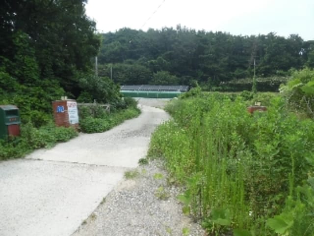 B000285202201300026174.jpg