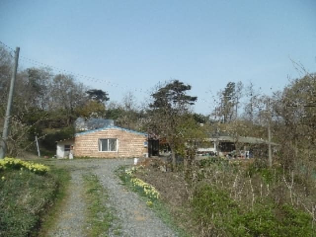 B000285202301300515861.jpg