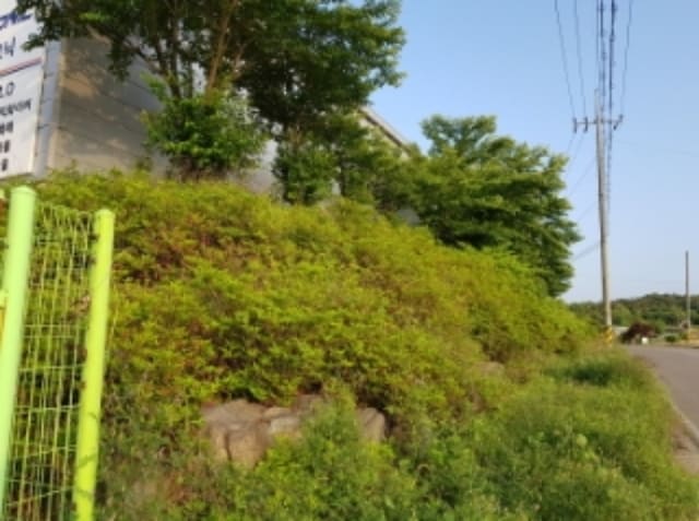 B000285202301300536814.jpg