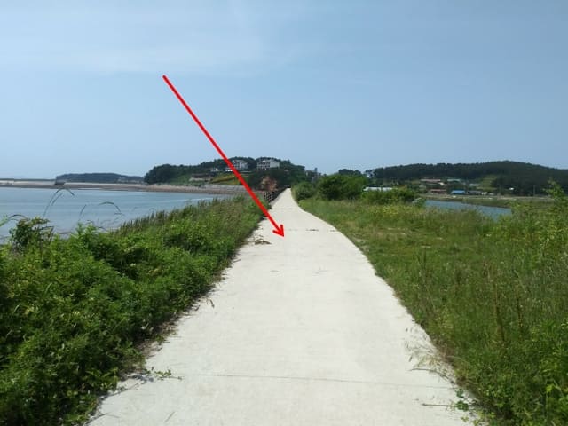 B0002852023013005403528.jpg