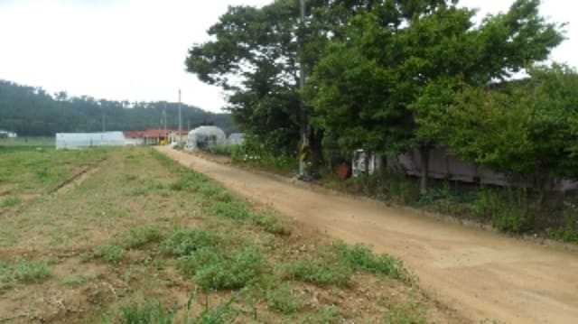 B000285202301300549673.jpg