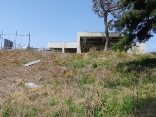B000285202401300017243.jpg