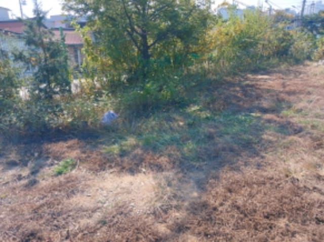 B000285202401300040371.jpg