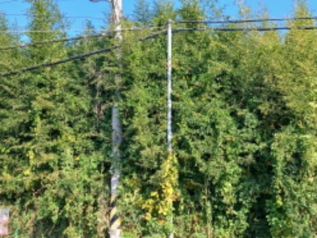 B000285202401300040372.jpg