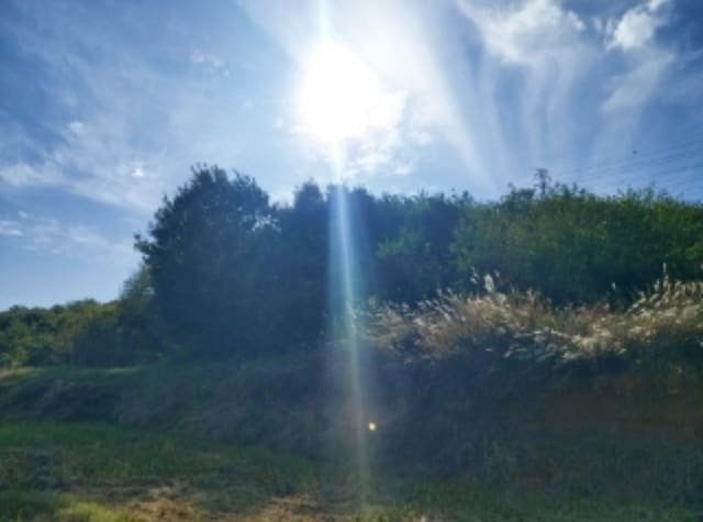 B000285202401300045254.jpg